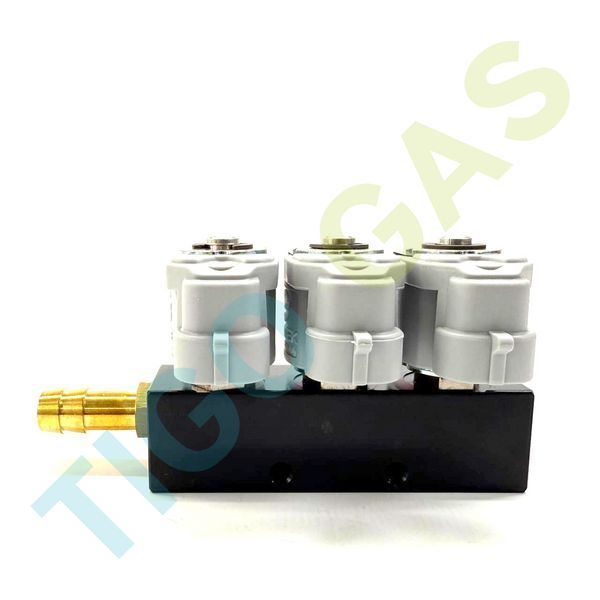 Форсунки Valtek Type 30 3 цил 2om VK30.EVG.408 фото